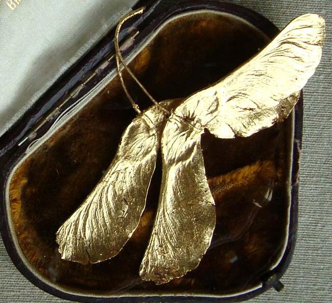 Sycmaore Wings