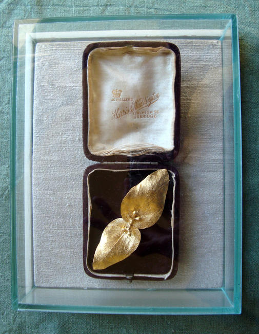 Twin Leaves