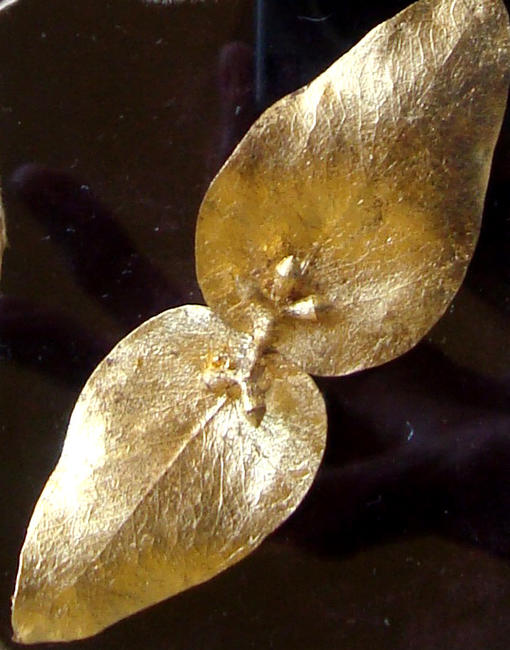 Twin Leaves