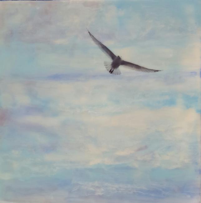 High Flying Bird