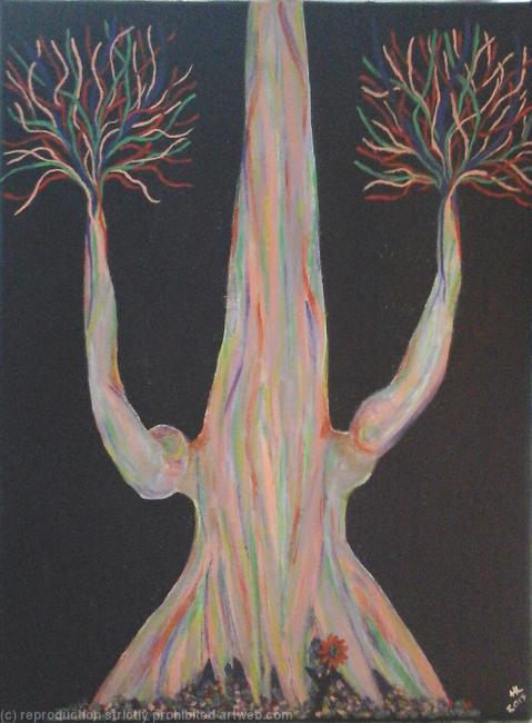Rainbow eucalyptus