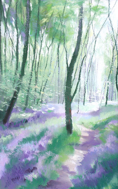 457 Woodland - Spring 1 Gillfield Woods, Totley