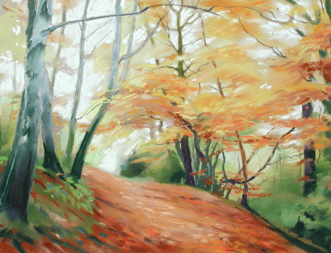 509 Woodland - Autumn 1 Gillfield Woods, Totley