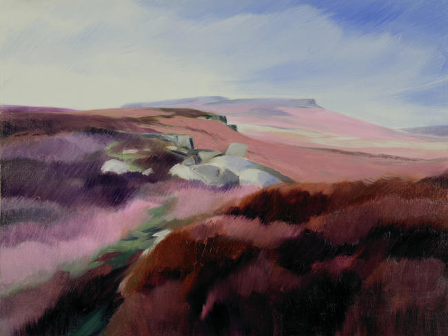 562 Higgar Tor