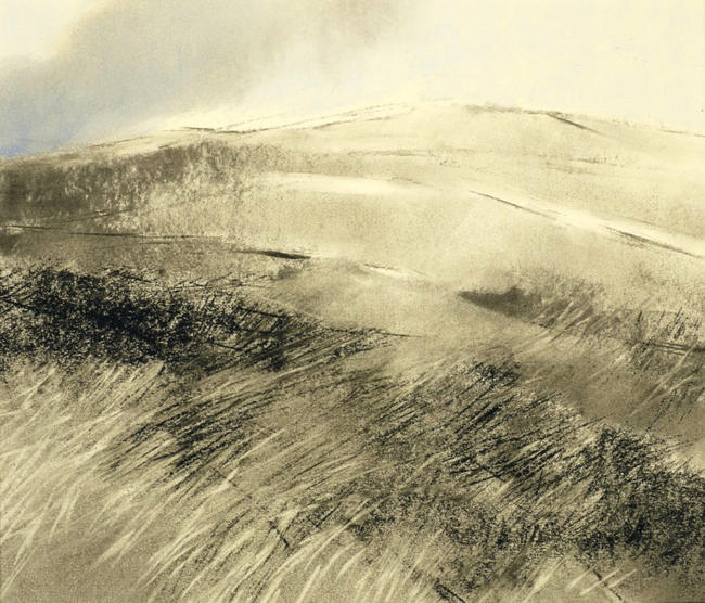 715 Moorland 11