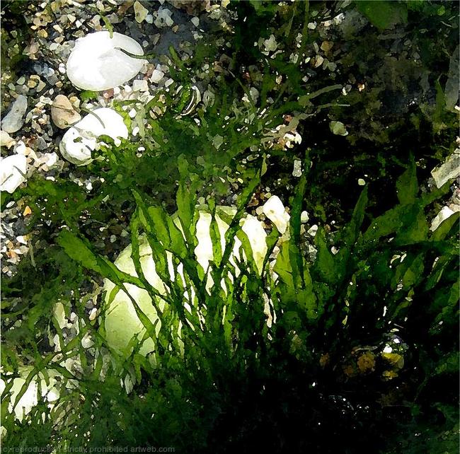 White Pebble Photograph on Canvas width=