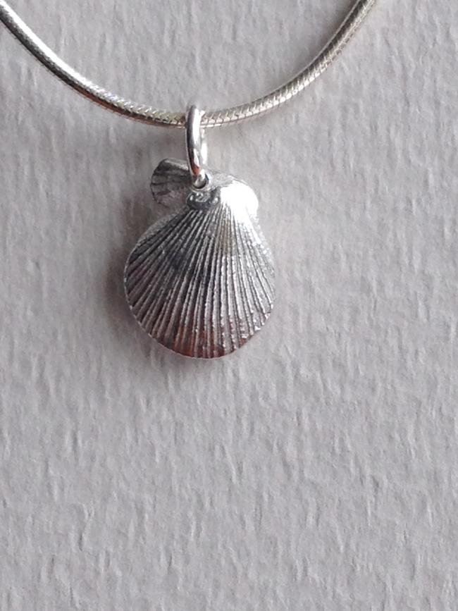 sea shell