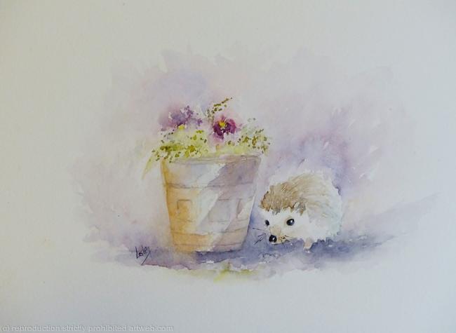 Hedgehog in the garden