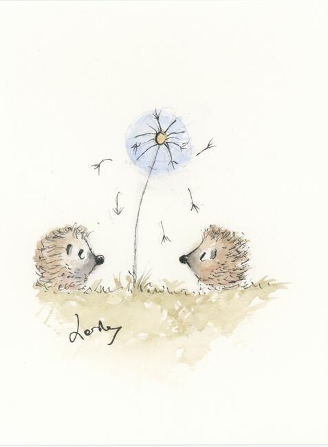 344 HETTi and HARRi hoglet AVAILABLE