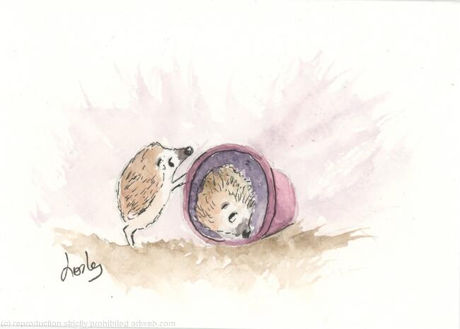 345 Mischievous hoglet AVAILABLE