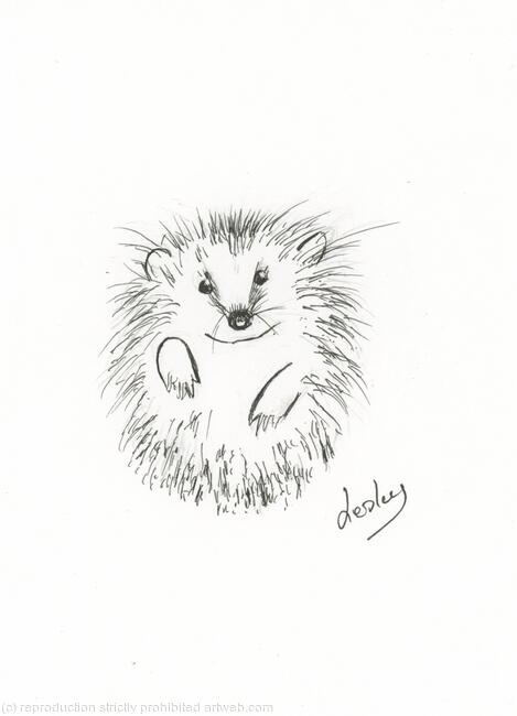 354 Hedgehog AVAILABLE