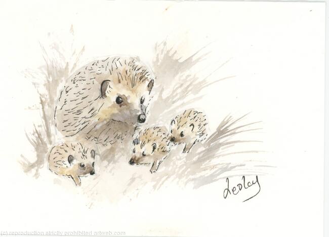 360 Hedgehog Family AVAILABLE
