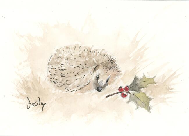 368 Hedgehog SOLD