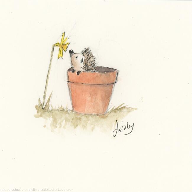 373 Hoglet AVAILABLE