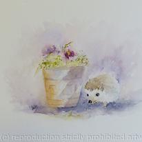 Hedgehog in the garden