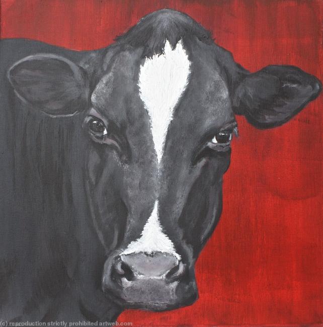 Cow 2711