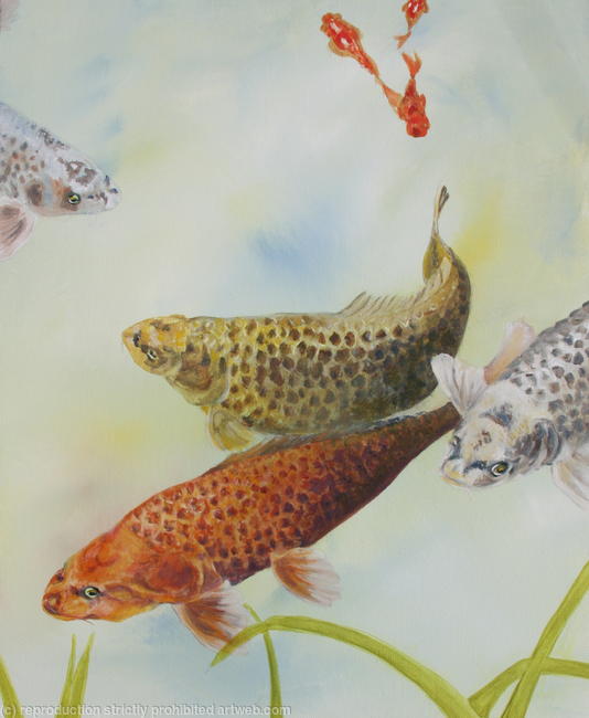 Koi Gathering Part 2