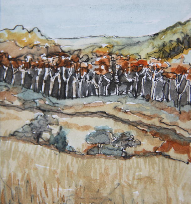 December 2013 - Ashdown Forest