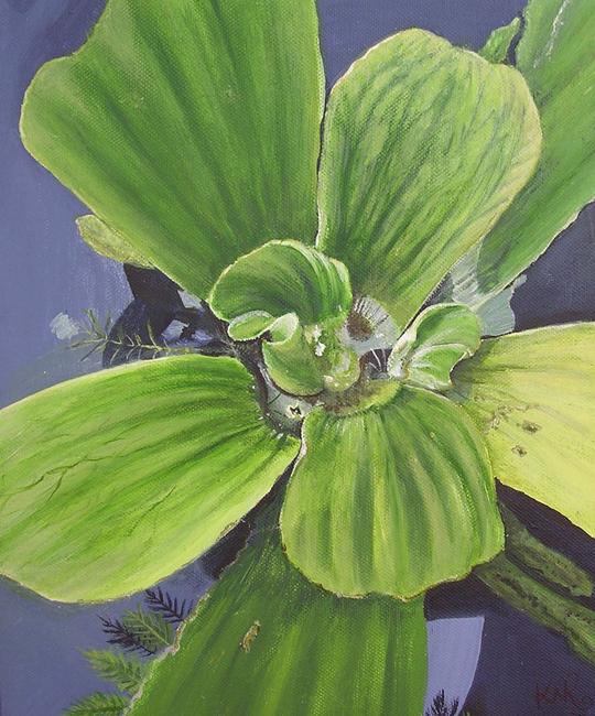 Water plant