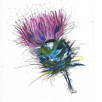 Thistle