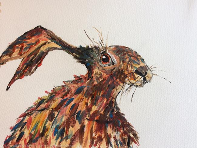 'TextureHare'