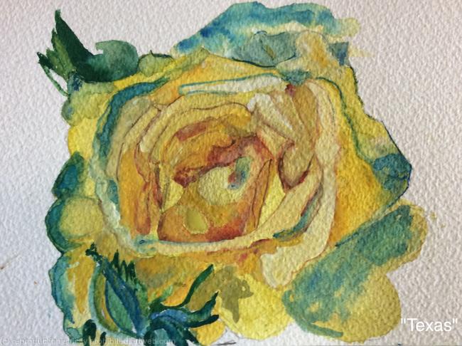 Texas Rose