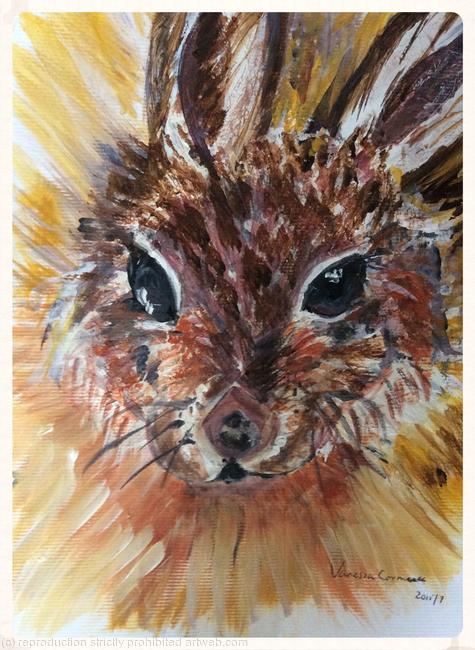 Bunny