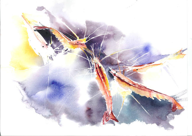 Shrimps