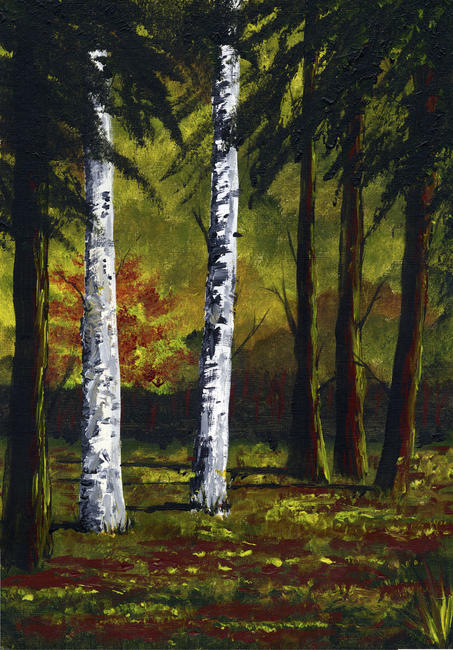 Autumn Woodland
