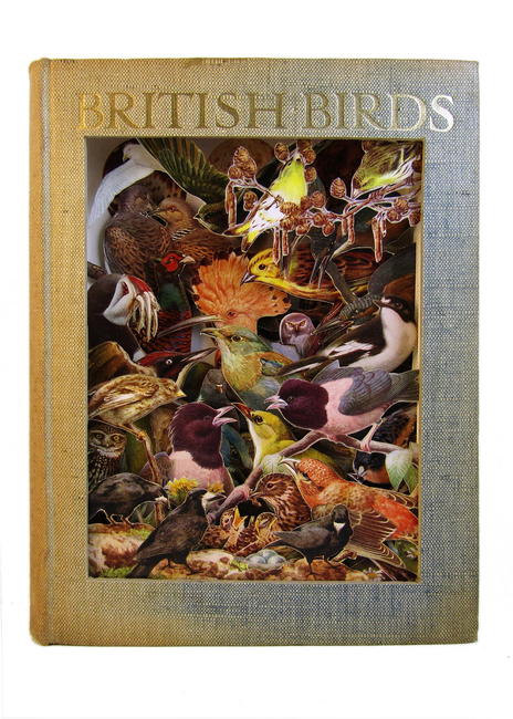 British Birds, 1930