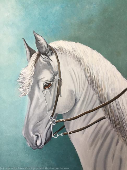 White horse