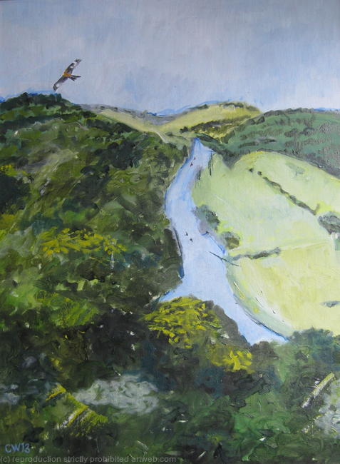 Wye valley