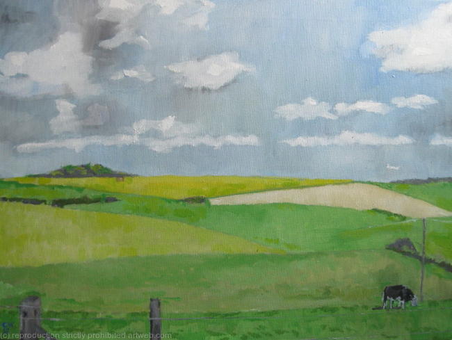 Wiltshire plains