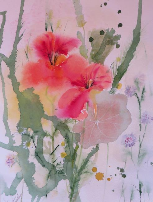 Wild Nasturtiums