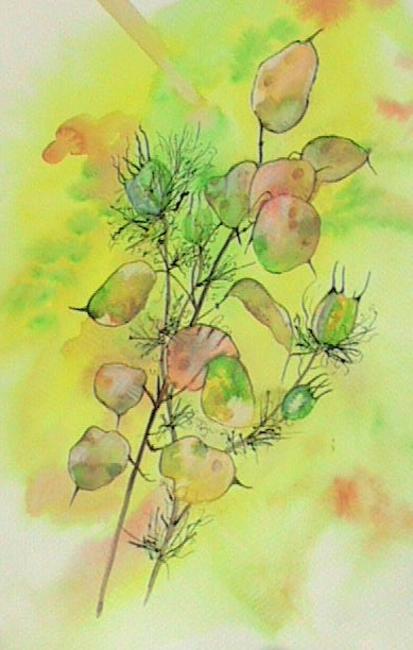 Summer Honesty