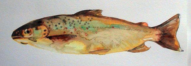Brook Brown Trout