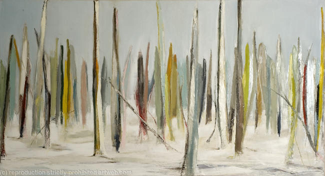 winter woodland