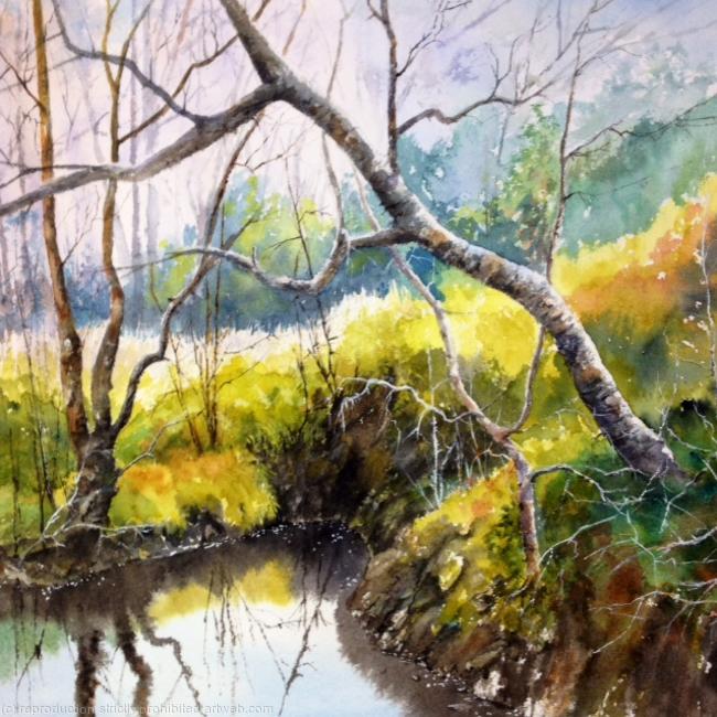 Tangle Wood