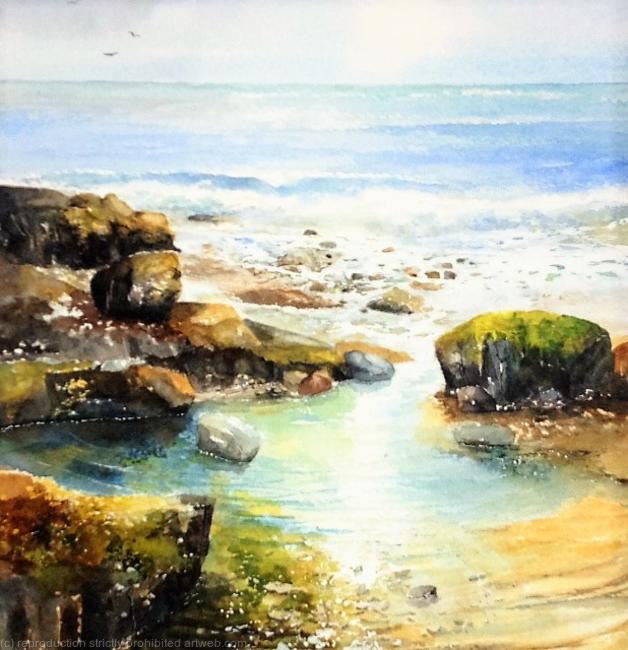 Rock Pool