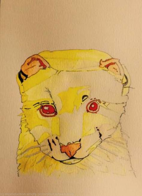 Ferret