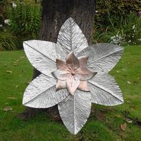 Wall Flower