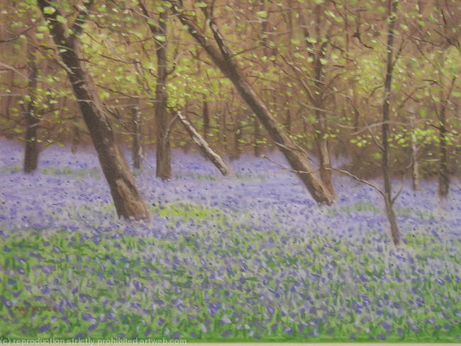 Blue Bells at Hollow Hill Wood, Buckinghamshire