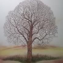 Oak tree in field