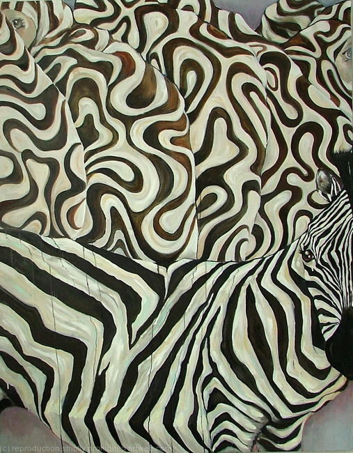 dazzle donkey