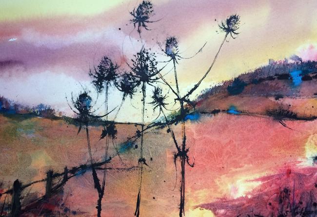 Down land Teasels