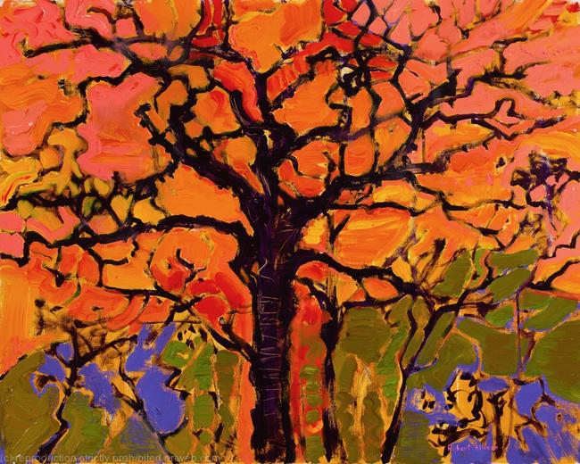 Tree on Alan and Blanche's Farm