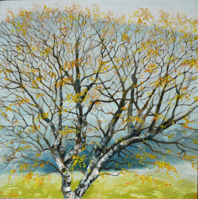 winter tree, Glen Sannox