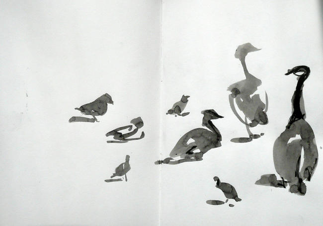 finsbury-park-fowl-2