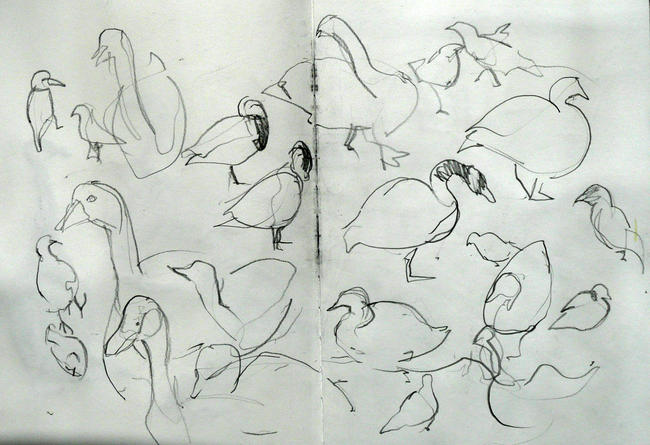 finsbury-park-fowl
