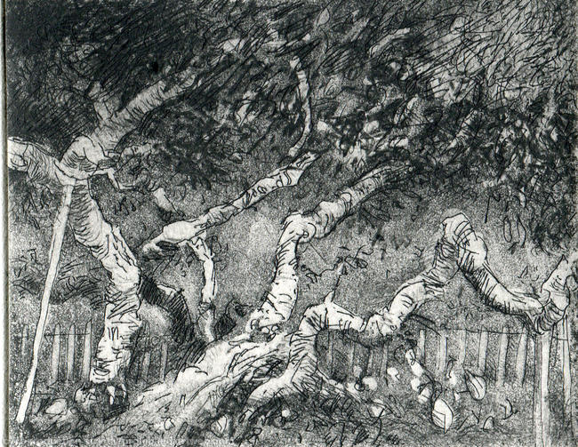 Evelyn's mulberry tree